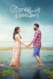 Anpodu Kanmani (2025) Malayalam WEB-DL – [1080p, 720p, 576p] – AVC/HEVC – (DD+5.1 – 640Kbps & AAC) – ESub