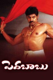 Pedababu (2004) Telugu JC WEB-DL – [576p, 1080p, 720p, 480p] – AVC – AAC2.0