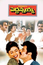 Peddannayya (1997) Telugu JC WEB-DL – [576p, 1080p, 720p, 576p] – AVC – AAC2.0