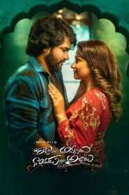 Raju Gari Ammayi Naidu Gari Abbayi (2023) Telugu WEB-DL – [1080p, 720p, 576p] – AVC/HEVC – (DD+5.1 – 640Kbps & AAC) – ESub