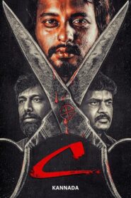 C (2024) Kannada HQ HDRips – [1080p, 720p, 576p] – x264 – (DD+5.1 – 640Kbps & AAC) – ESub