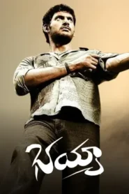Bhayya (2007) Telugu ZEE5 WEB-DL – [1080p, 720p, 576p, 480p] – AVC – AAC2.0