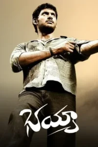 Bhayya (2007) Telugu ZEE5 WEB-DL – [1080p, 720p, 576p, 480p] – AVC – AAC2.0