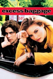 Excess Baggage (1997) BluRay – [1080p, 720p, 576p] – x264 – [Tamil + Hindi + English] – AAC – ESub