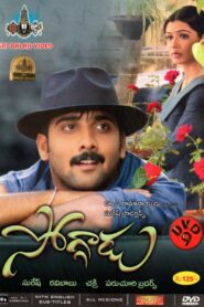 Soggadu (2005) Telugu ZEE5 WEB-DL – [1080p, 720p, 576p, 480p] – AVC/HEVC – AAC2.0