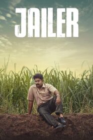 Jailer (2023) Malayalam WEB-DL – [1080p, 720p, 576p] – AVC – (DD+5.1 – 192Kbps & AAC) – ESub