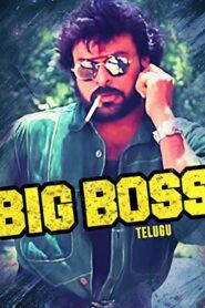 Big Boss (1995) Telugu JC WEB-DL – [576p, 1080p, 720p] – AVC – AAC2.0