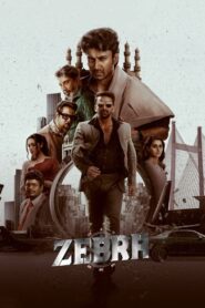 Zebra (2024) Telugu AHA WEB-DL – [4K-2160p, 1080p, 720p, 576p] – HEVC/AVC – (DD+5.1 – 192Kbps & AAC) – ESub