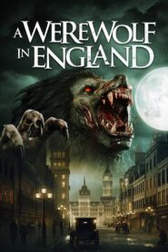 A Werewolf in England (2020) BluRay – [1080p, 720p, 576p] – x264 – [Tamil + Hindi + English] – AAC – ESub