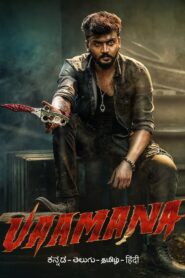 Vaamana (2025) Kannada HQ HDRips – [1080p, 720p, 576p] – x264 – (DD+5.1 – 640Kbps & AAC) – ESub