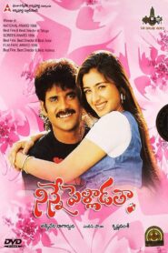 Ninne Pelladatha (1996) Telugu DSNP WEB-DL – [1080p, 720p, 576p, 480p] – AVC – AAC2.0 – Esub