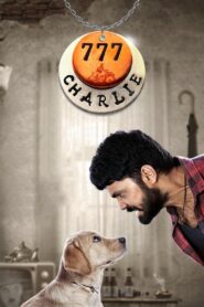 777 Charlie (2022) Telugu AMZN WEB-DL – [1080p, 720p, 576p, 480p] – AVC/HEVC – [DD+5.1 – 640Kbps+AAC2.0] – ESub