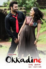 Okkadine (2013) Telugu SUNNXT WEB-DL – [1080p, 720p, 576p, 480p] – AVC/HEVC – [DD+5.1 – 192kbps+AAC2.0]