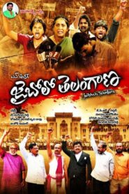 Jai Bolo Telengana (2011) Telugu JHS WEB-DL – [1080p, 720p, 576p, 480p] – AVC – AAC2.0 – Esub