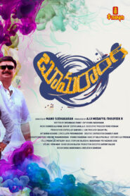 Boomerang (2025) Telugu TRUE WEB-DL – [1080p, 720p, 576p] – AVC – AAC