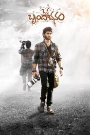 Oka Brundavanam (2025) Telugu TRUE WEB-DL – [1080p, 720p, 576p] – AVC – (AAC 2.0)