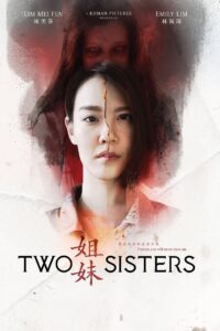 Two Sisters (2019) HQ HDRips – [1080p, 720p, 576p] – x264 – [Tamil + Telugu + Hindi + Chinese] – (AAC 2.0) – ESub