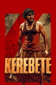 Kerebete (2025) Hindi HQ HDRips – [1080p, 720p, 576p] – x264 – AAC – ESub