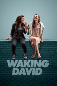Waking David (2016) HQ HDRips – [1080p, 720p, 576p] – x264 – Tamil Dubbed – AAC