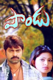 Pandu (2005) Telugu JC WEB-DL – [576p, 1080p, 720p, 480p] – AVC – AAC2.0
