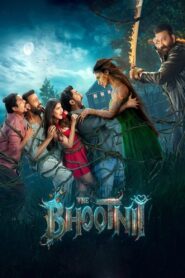 The Bhootnii (2025) Hindi Proper WEB-DL – ]4K-2160p, 1080p, 720p, 576p] – HEVC/AVC – (DD+5.1 ATMOS – 448Kbps & AAC) – ESub