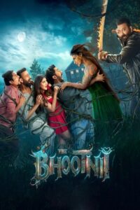 The Bhootnii (2025) Hindi Proper WEB-DL – ]4K-2160p, 1080p, 720p, 576p] – HEVC/AVC – (DD+5.1 ATMOS – 448Kbps & AAC) – ESub