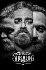 Vikram Hitlist (2022) Telugu DSNP WEB-DL – [4K-2160p, 1080p, 720p, 480p, 360p] – HEVC/AVC – HDR/DV/SDR – HEVC/AVC – [ATMOS] – Msub