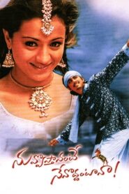 Nuvvostanante Nenoddantana (2005) Telugu [4K-2160p, 1080p, 720p, 576p, 480p] – AI REMASTER – HEVC/AVC – [DTS5.1 – 756kbps + DD5.1 – 448kbps] – Esub