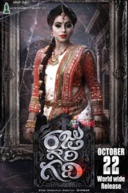 Raju Gari Gadhi (2015) Telugu DSNP WEB-DL – [1080p, 720p, 480p] – AVC – AAC2.0 – Esubs