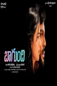 Bagundi (2024) Telugu HQ WEB-DL – [1080p, 720p, 576p] – x264/x265 – (DD+2.0 – 224Kbps) – ESub