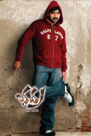 Bhadra (2005) Telugu HYBRID WEB-DL – [1080p, 720p, 576p, 480p] – AVC/HEVC – [DTS 5.1 – 768Kbps] – x264 – ESub