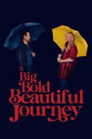 A Big Bold Beautiful Journey (2025) BluRay – [1080p, 720p, 576p] – x264 – (DD+5.1 – 640Kbps) [Tel + Tam + Hin + Eng] – Free Download