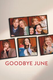 Goodbye June (2025) HQ HDRips – [1080p, 720p, 576p] – x264 – [Tel + Tam + Hin + Eng] – (DD+5.1 – 640Kbps) – ESub – Free Download