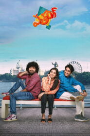 Patang (2025) Telugu WEB-DL – [1080p, 720p, 576p] – AVC/HEVC – (DD+5.1 – 640Kbps & AAC 2.0) – ESub