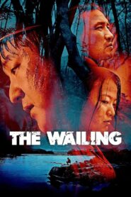 The Wailing (2016) HQ AMZN WEB-DL – [1080p, 720p, 576p] – x264 [Telugu (DD+ 5.1 – 640kbps & AAC)] ESub