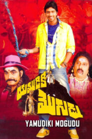 Yamudiki Mogudu (2012) Telugu AMZN WEB-DL – [1080p, 720P, 576p, 480p] – AVC – [DD+2.0 – 224kbps]