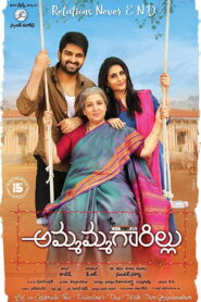 Ammammagarillu (2018) Telugu SUNNXT WEB-DL – [1080p, 720p, 576p, 480p] – AVC/HEVC – [DD+5.1_192kbps++AAC2.0] – Esub