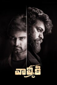 Gaddalakonda Ganesh (2019) Telugu DSNP WEB-DL – [1080p, 720p, 480p, 360p] – AVC – AAC2.0 – Esubs