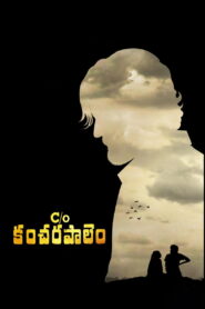 Care of Kancharapalem (2018) Telugu NF WEB-DL – [1080p, 720p, 576p, 480p] – AVC/HEVC – [DD+5.1 – 640kbps] – Esub