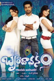 Brindaavanam (2010) Telugu Complete Bluray – [1080p, 720p, 576p, 480p] – AVC/HEVC – [PCM+DD5.1 – 448kbps] – Esub
