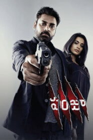 PANJA (2011) Telugu Bhavani Complete BD25 – [1080p, 720p, 576p, 480p] – AVC/HEVC – [DTS-HDMA5.1 – 2624kbps+DD5.1 – 448kbps]