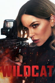 Wildcat (2025) HQ HDRips – [1080p, 720p, 576p] – x264 – [Tel + Tam + Hin + Eng] – Free Download