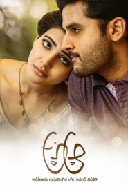 A Aa (2016) Telugu HYBRID Ai Upscale – [1080p, 720p, 576p, 480p] – HEVC/AVC – [DD+5.1 – 640kbps+AAC5.1+AAC2.0] – Esub
