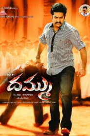 Dhammu (2012) Telugu Complete Bluray – [1080p, 720p, 576p, 480p] – AVC – [PCM + DD_5.1 – 448kbps] – Esubs